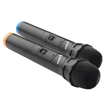 WINNER Transparent Bluetooth Karaoke Party Speaker with Light Show